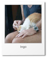 Ingo sein Kind muss immer spielen