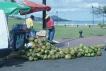 Am Hafen in Puerto Plata Kokosnussverkufer